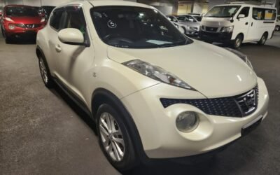 PAG11545 Nissan JUKE